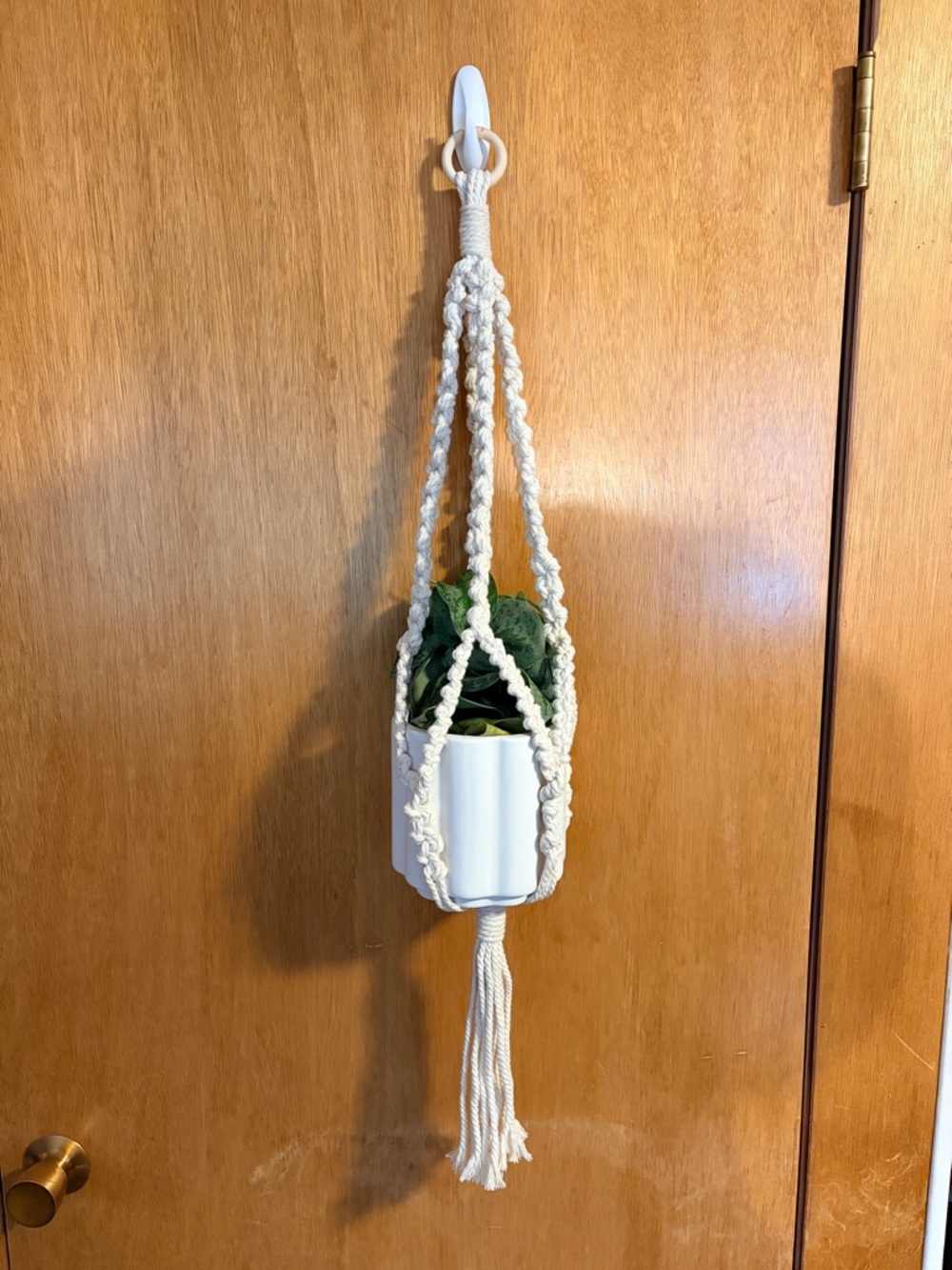 Handmade Macrame Plant Hanger. PLANT AND POT NOT INCLUDED.